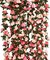 8pcs 65.6Ft Spring Flower Garland, Fake Rose Vine Artificial Flowers Hanging Rose Ivy Garland for Room Wall Decor Hanging Baskets Wedding Arch Garden Background Decor